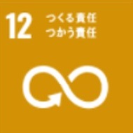 SDGs12